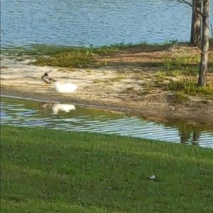 Meet your Posher, ! louann !